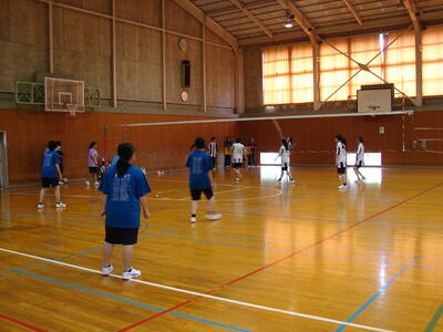 女子バレーボール